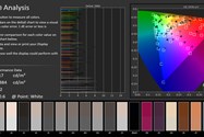آزمایش خطای رنگ در فضای sRGB و فعال بودن True Tone برای نمایشگر آیپد پرو ۱۲.۹ مدل ۲۰۲۰