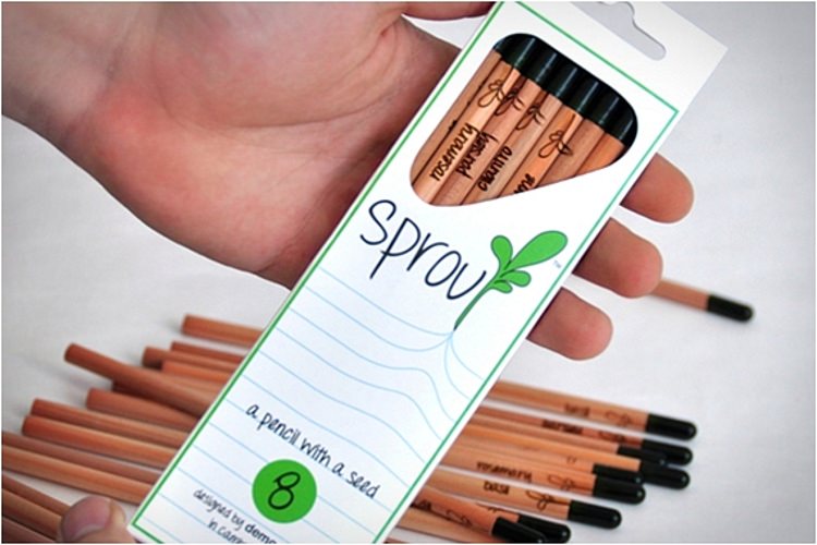 Sprout مدادی که به گیاه تبدیل میشود