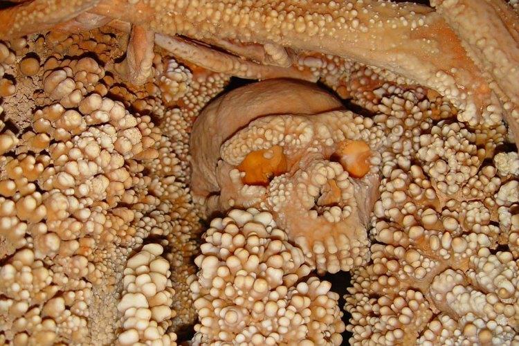 قدیمی ترین نمونهی DNA از انسان نئاندرتال در ایتالیا استخراج شد