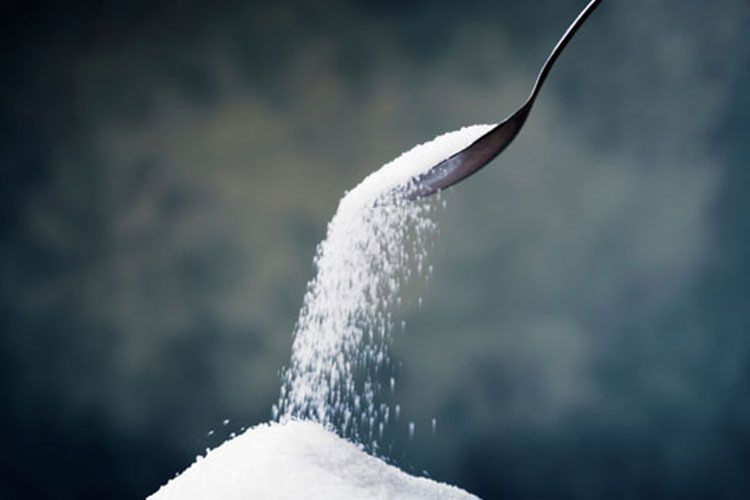 دانشمندان درصدد تولید مورفین از شکر هستند