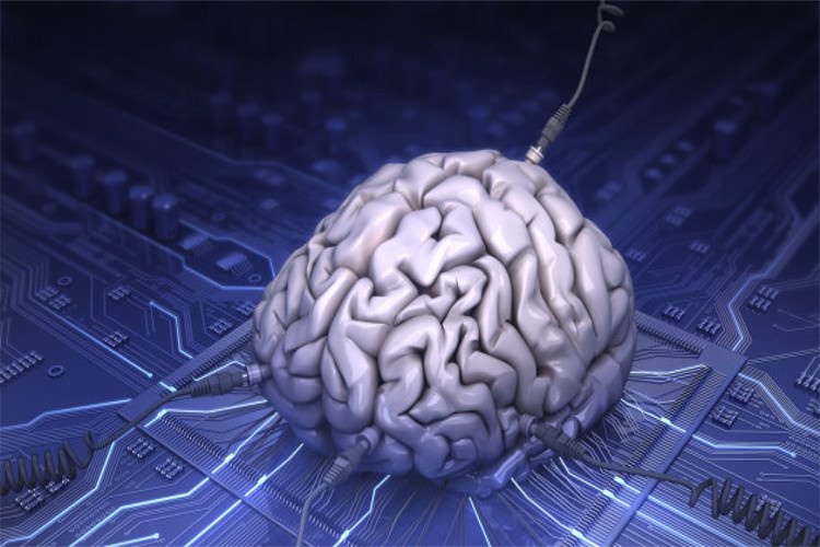 پروژه Robo Brain به ربات‌ها یاد خواهد داد که چگونه دنیا را درک کنند