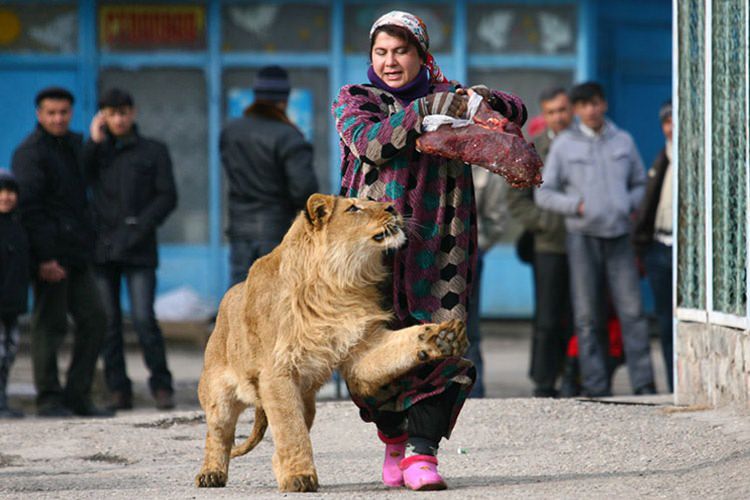 منتخبی از بهترین تصاویر خبرگزاری رویترز در طول سی سال گذشته