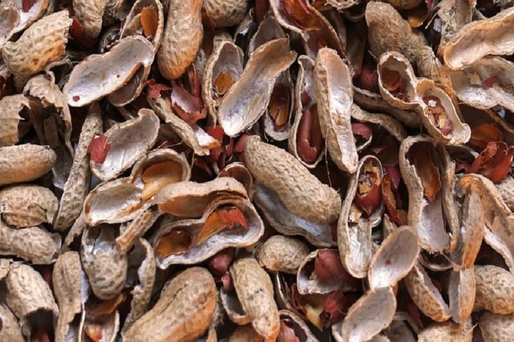 فیلترهای تصفیه هوا از جنس پوسته بادام زمینی