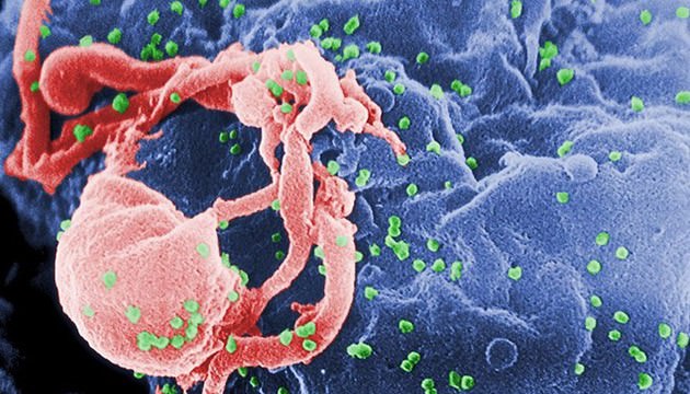 پادتنهای سادهتر راه را برای ساخت واکسن HIV هموار میکنند