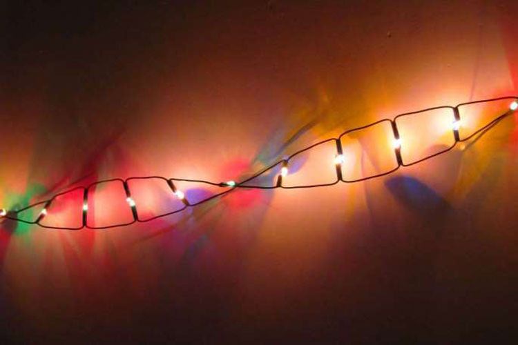رشته‌های DNA توانایی ذخیره‌سازی داده‌های دیجیتال تا بیش از دو هزار سال را دارند