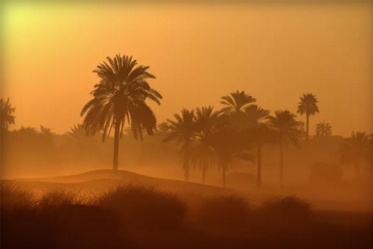 سال ۲۰۱۵ به عنوان گرمترین سال تاریخ ثبت شد