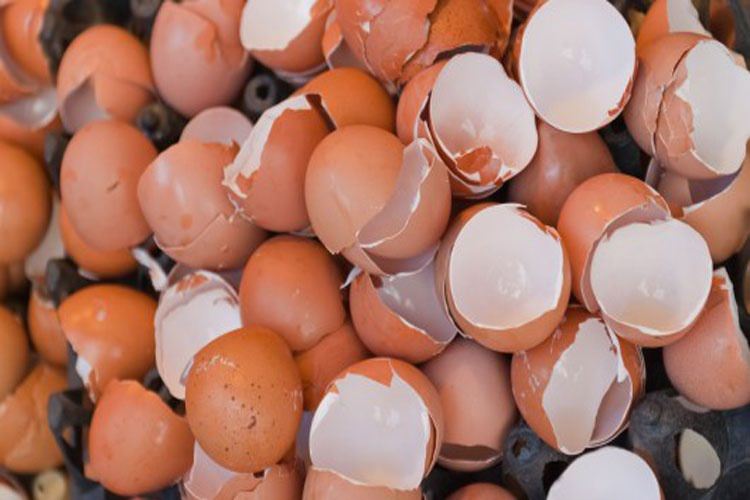 ارتباط پوست تخم مرغ، سرامیک و نوآوری