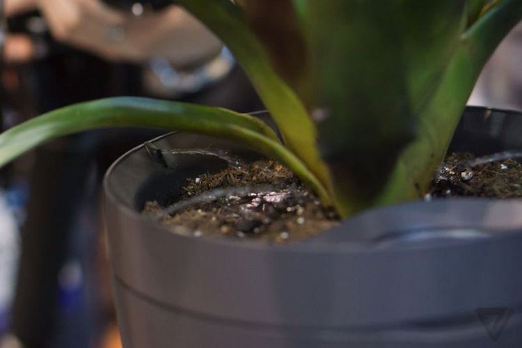 شرکت Parrot گلدان هوشمند را برای آبیاری خودکار گیاهان رونمایی کرد