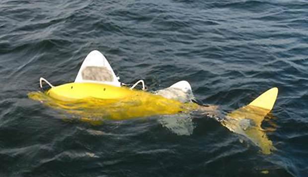 Robo-fish به جای انسان به اعماق اقیانوس میرود و به نجات حیات زیر آب میپردازد
