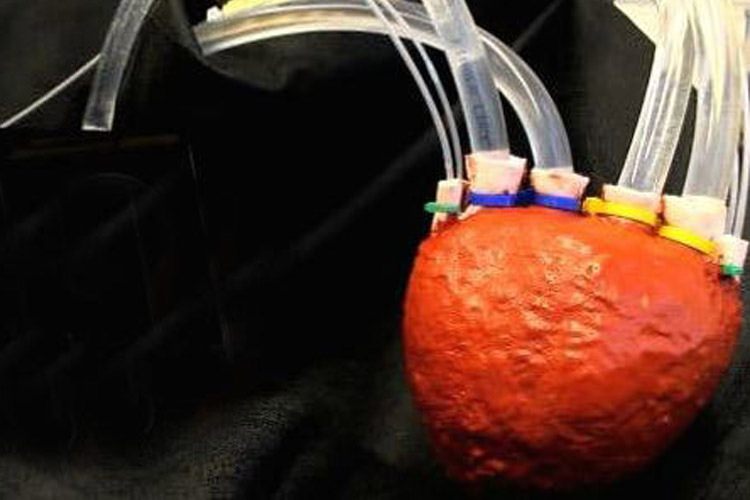 تماشا کنید: ساخت قلب مصنوعی با فوم