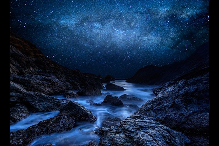 زیبایی شبهای ستاره باران در قالب آلبومی تماشایی