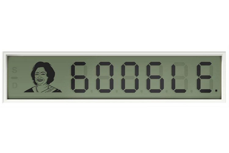Google Doodle و بزرگداشت زادروز شاکونتالا دوی، رایانهی انسانی