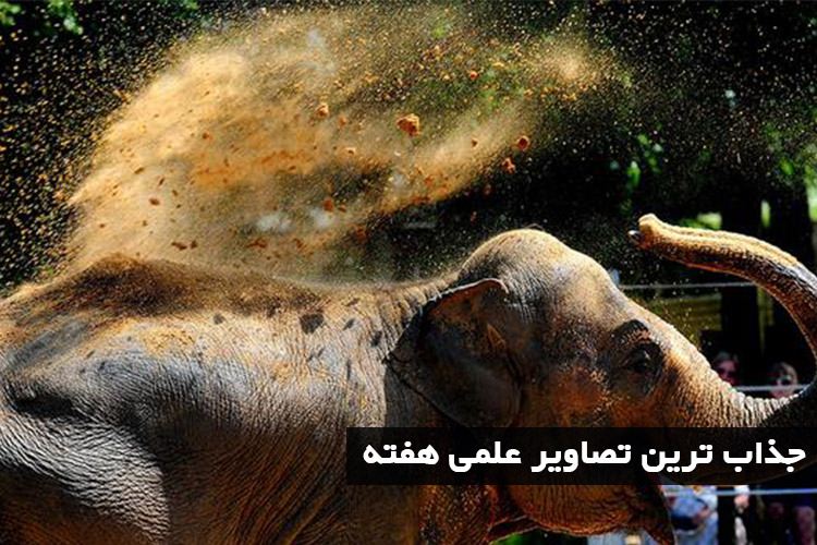 جذابترین تصاویر علم و فناوری هفته