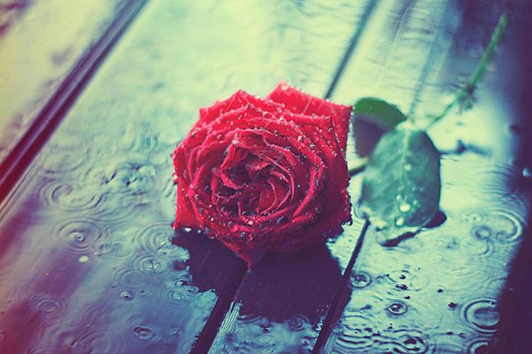 زیبایی نهفته در چیزهای ساده