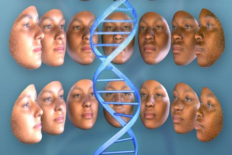 تشخیص چهره به کمک DNA