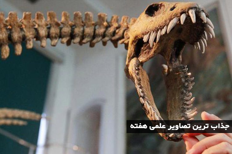 جذابترین تصاویر علم و فناوری هفته