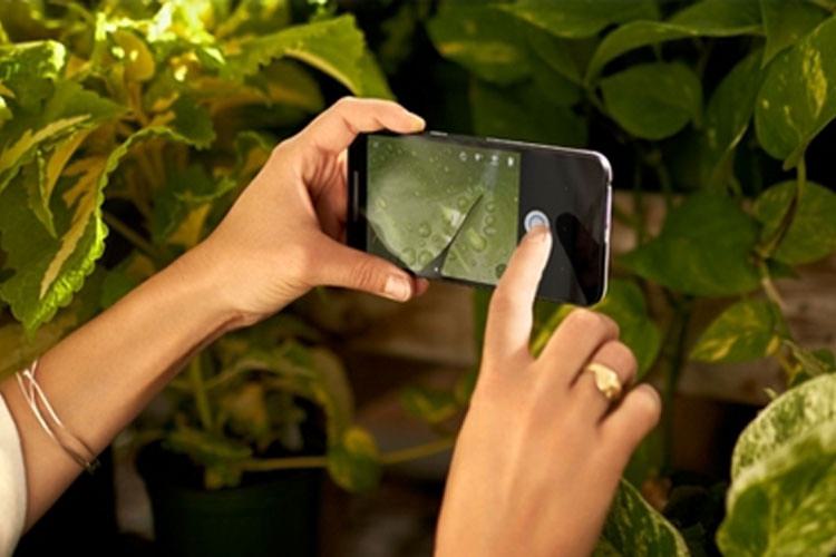 تماشا کنید: نگاه نزدیک به نسخهی اولیه نکسوس 5X الجی