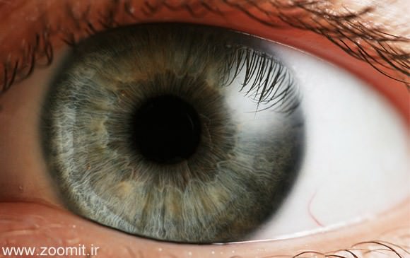 شباهت و تفاوت های چشم انسان با دوربین عکاسی