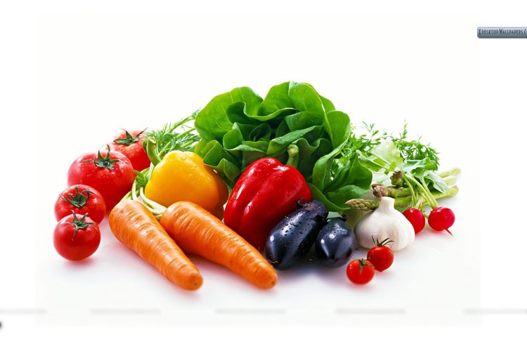 قابل توجه گیاهخواران: درک گیاه از خورده شدن