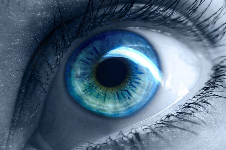چشم، پنجرهای به وسعت یک روح (بخش دوم)