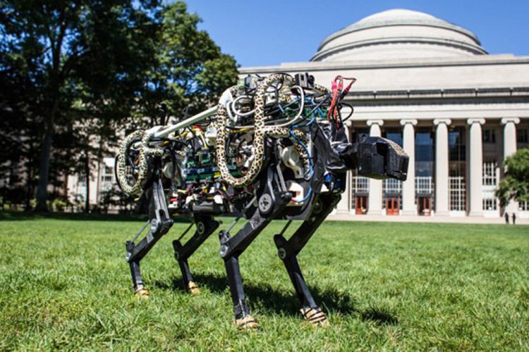 تماشا کنید: روبات چیتای دانشگاه MIT بدون کابل‌های نگه‌دارنده‌ از روی موانع می‌پرد