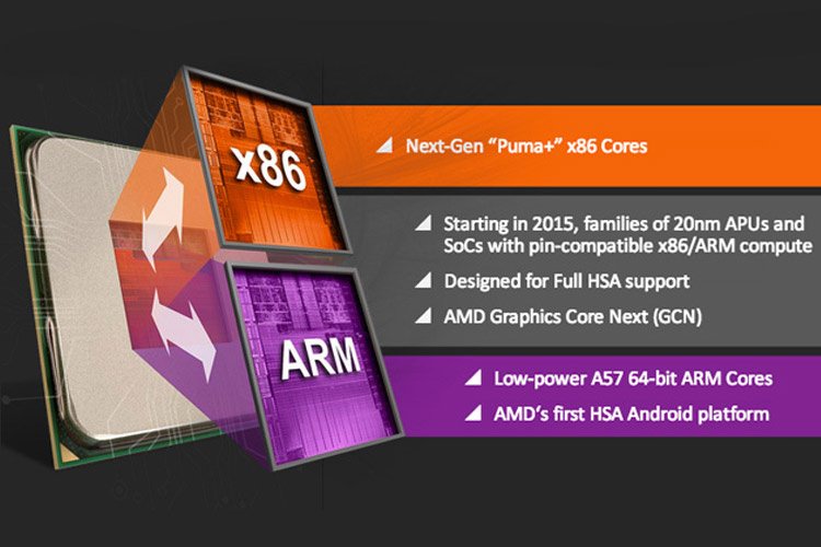 AMD در حال توسعهی فناوری Skybridge بهعنوان بستری مشترک برای کار پردازندههای مبتنی بر ARM و x86 است