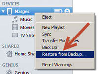 restore backup