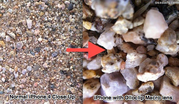 macro-photography-guide-iphone-5