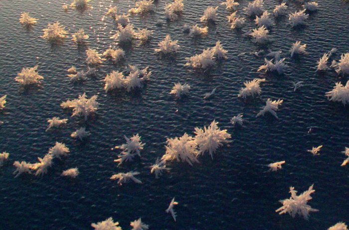 03 frost-flowers-ocean-phenomena