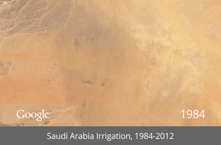 Saudi-Arabia-Irrigation-thumb-650x425-120984