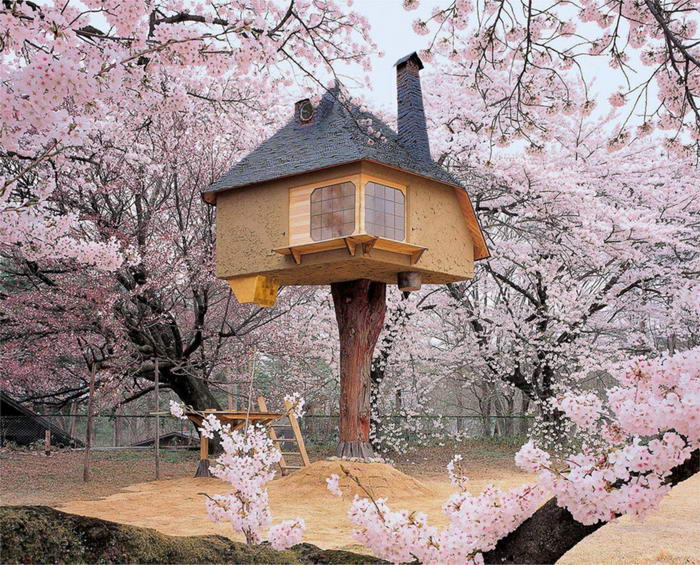 [عکس: Teahouse-Tetsu-tree-house.jpg]