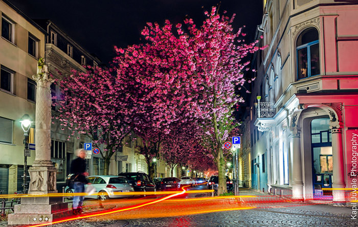 [عکس: Top-10-Streets-Bonn-Photo-by-Kapil-Juvale.jpg]