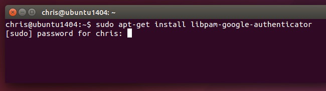 6-install-google-ubuntu