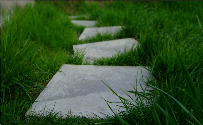 stepping-stones-moving-forward