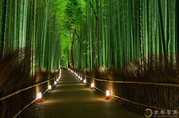 [عکس: Top-10-Streets-Bamboo-Photo-by-Haruka-Suzuki.jpg]