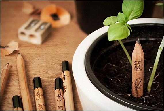 sprout-pencil-1